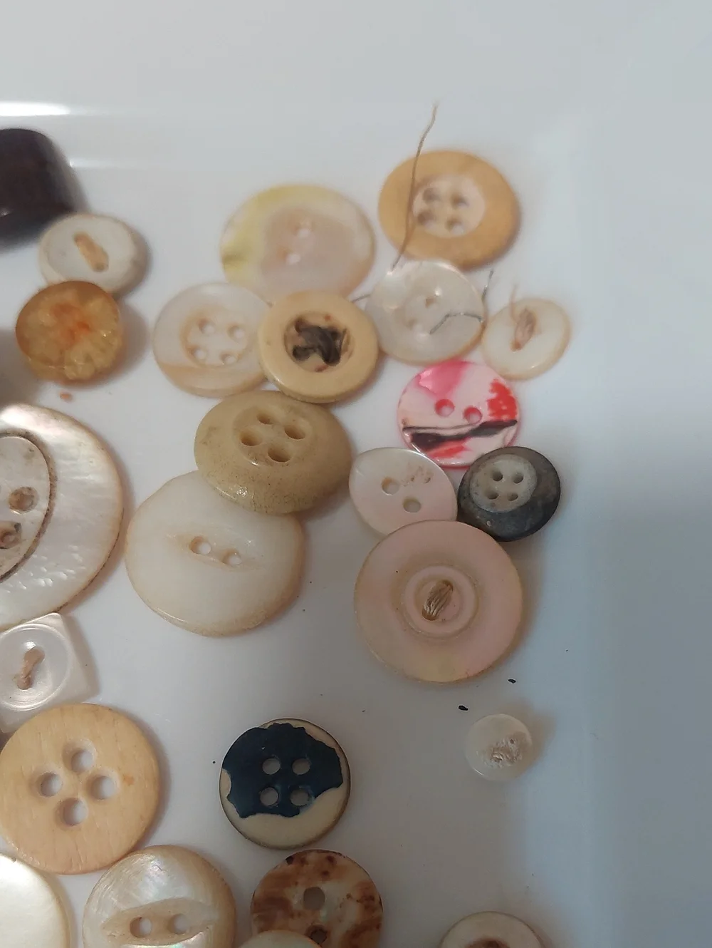 None buttons old